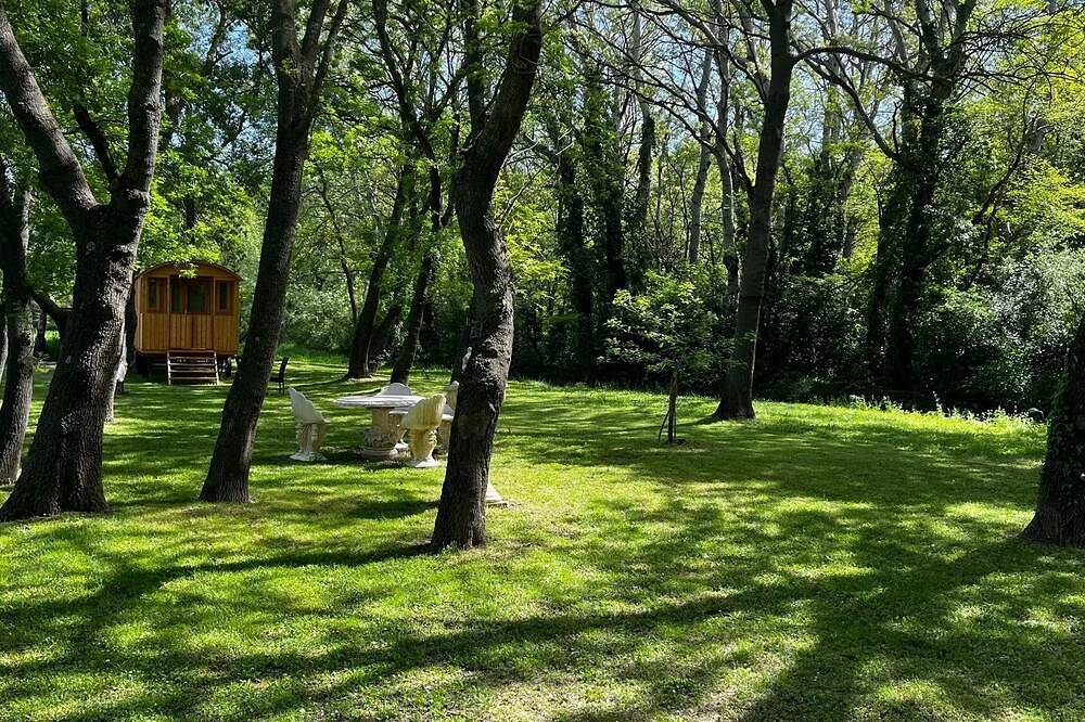 Entire apartment, Aux Cœur de la Provence aux Portes de la Camargue in Tarascon, Arles region
