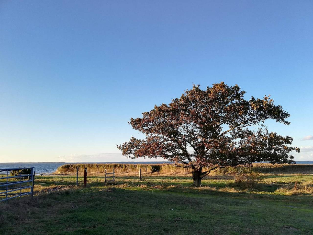 10 Personen Ferienhaus in Stege in Vordingborg und Umgebung