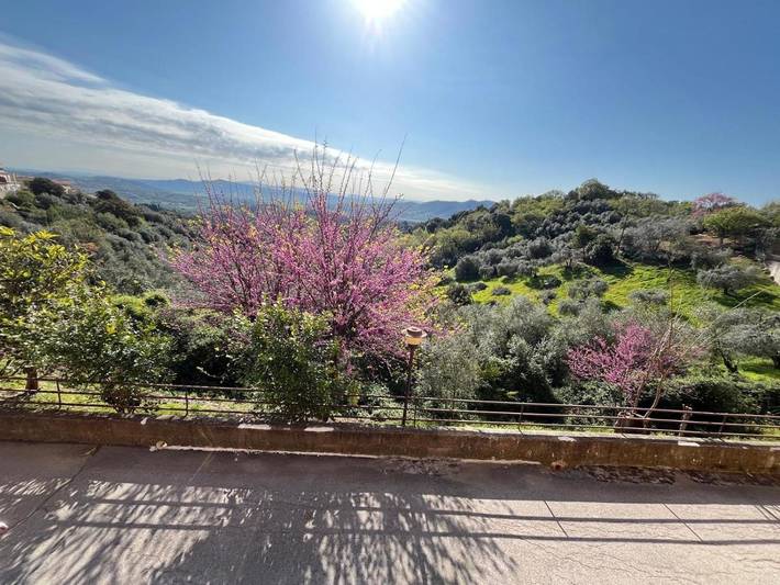 Ferienwohnung für 3 Personen, mit Ausblick und Terrasse, mit Haustier