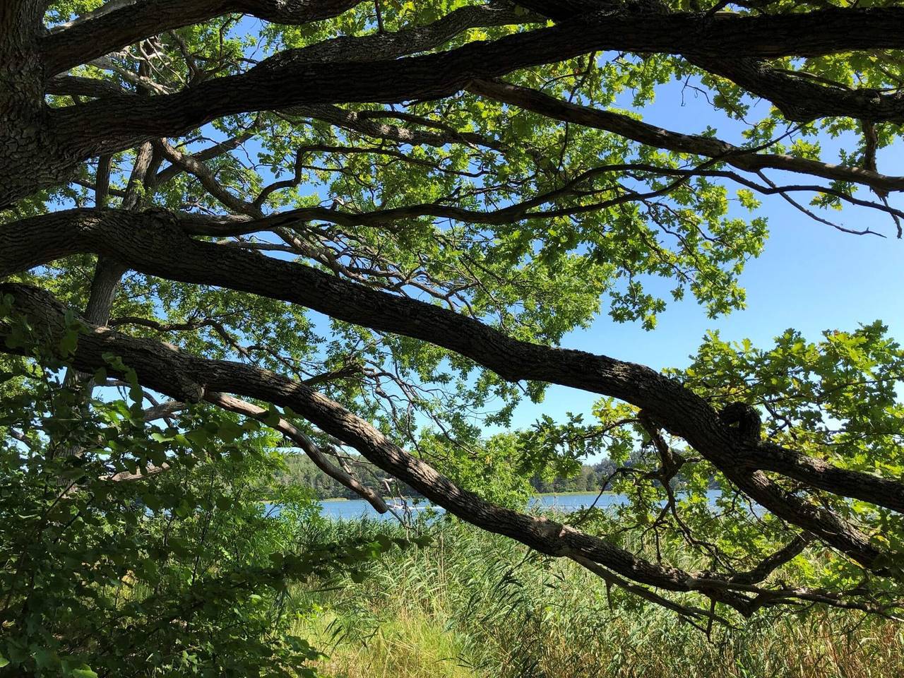 4 Sterne Ferienhaus in Sorunda in Skärlinge fritidsby, Nynäshamn