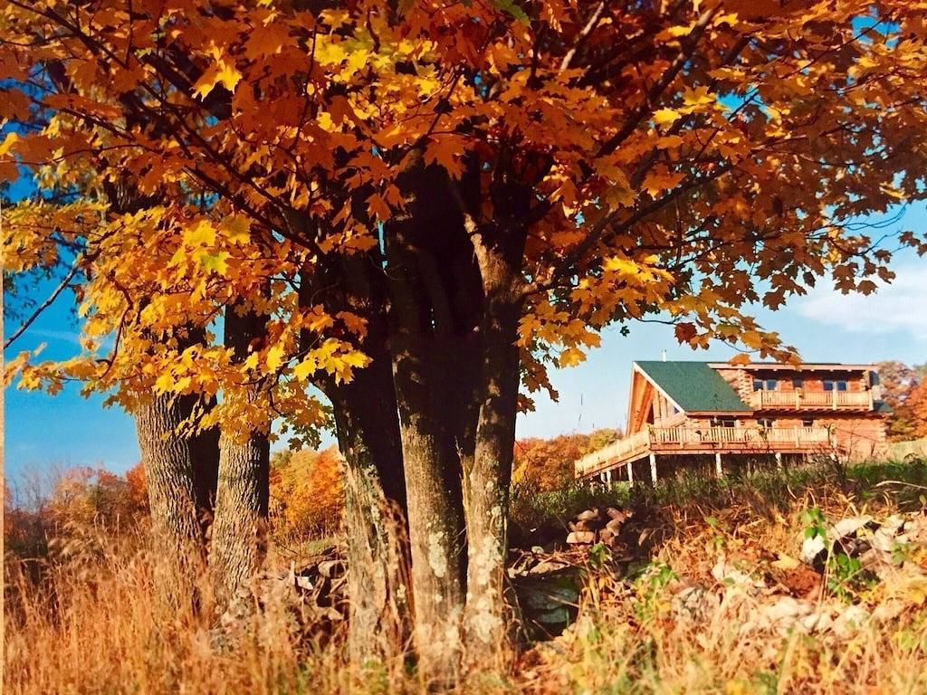 Glamping for 10 Guests in Catskill Mountains, Greene County (NY)