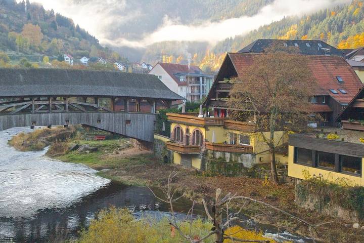 Hôtel pour 5 personnes, avec sauna et jardin, animaux acceptés à Forbach - 2