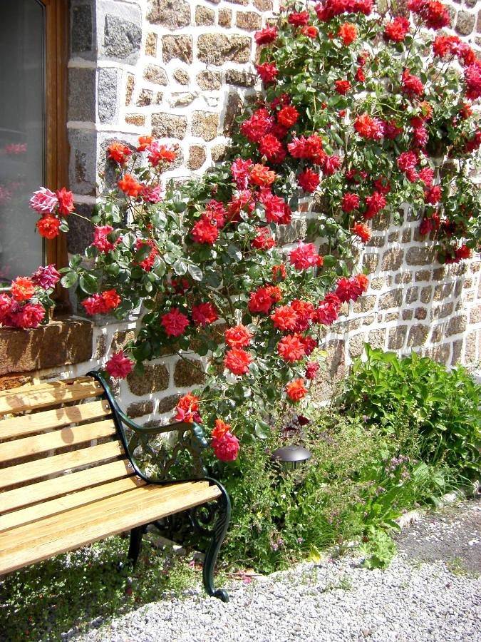 Location de vacances pour 3 personnes, avec jardin ainsi que vue et terrasse à Lassay-les-Châteaux - 3