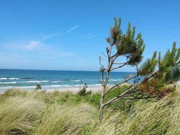 Feriehus til 7 Personer i Rørvig, Odsherred, Bilde 2