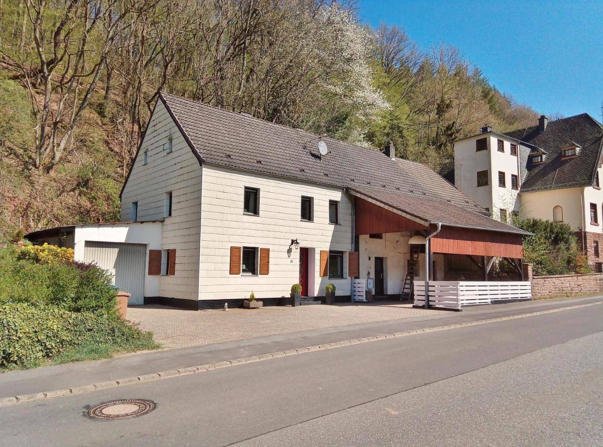 Die rote Ente in Mürlenbach, Vulkaneifel
