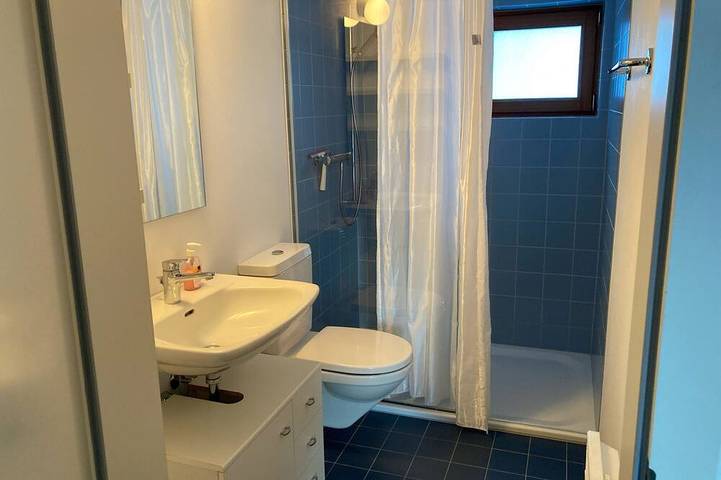 Ganze Wohnung, Chalet Bergfink 4-Bettwohnung, Dusche, Wc 4-Bettwohnung in Rosswald, Brig