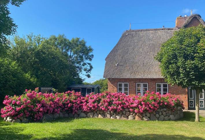 Ferienhaus für 6 Personen, mit Ausblick und Garten sowie Sauna, mit Haustier - 1