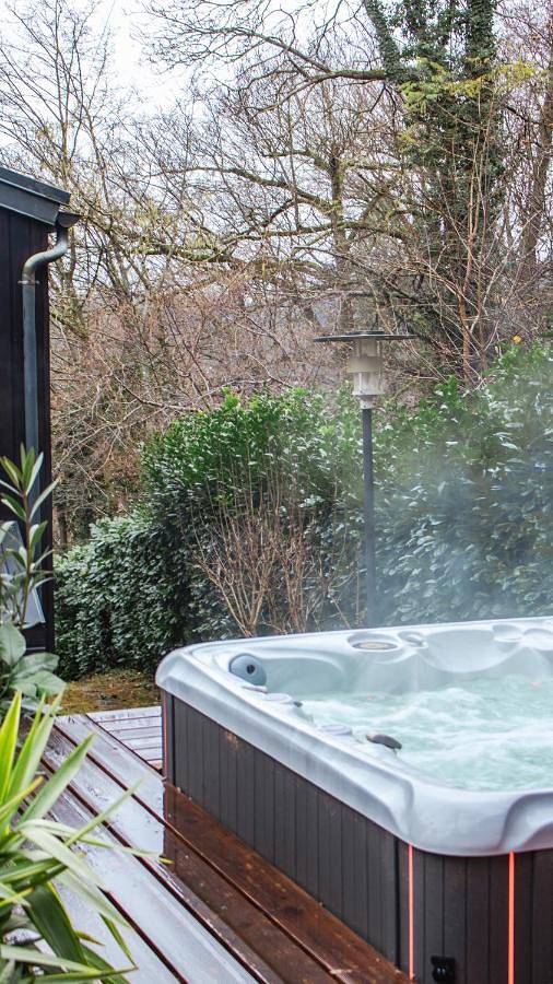 Gîte pour 2 personnes, avec vue et terrasse, animaux acceptés à Gif-sur-Yvette - 2