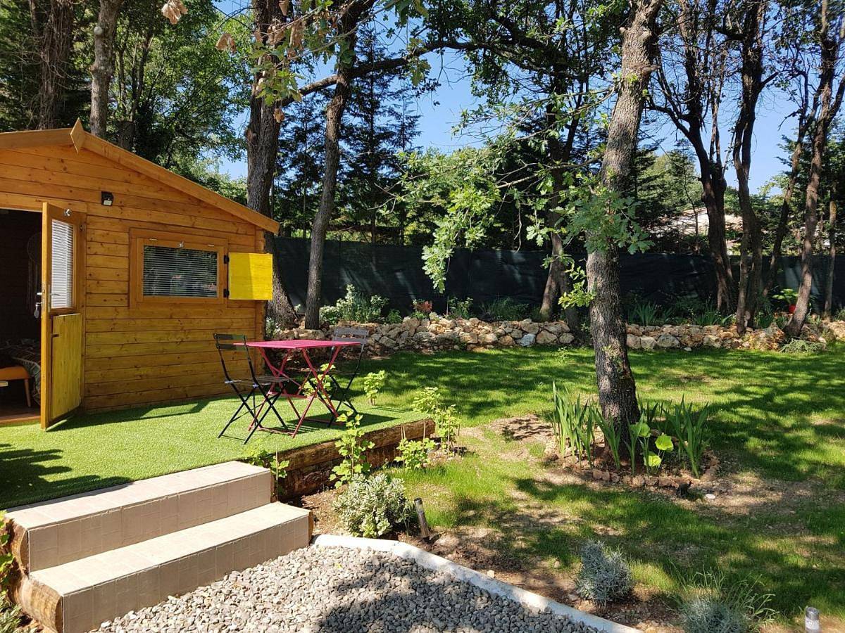 Les Lézards 2 au Soleil in Draguignan, Région de Draguignan