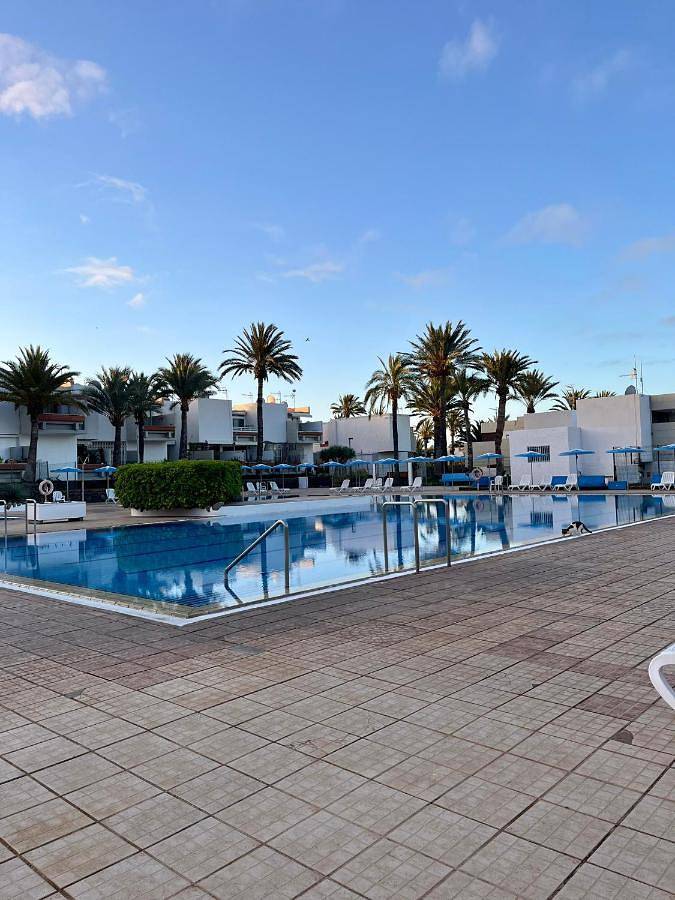 Ganze Wohnung, Piso F-Primavera Gt - Terraza privada, piscinas y a pocos pasos del mar in Playa de LA BALLENA (Arona), Arona
