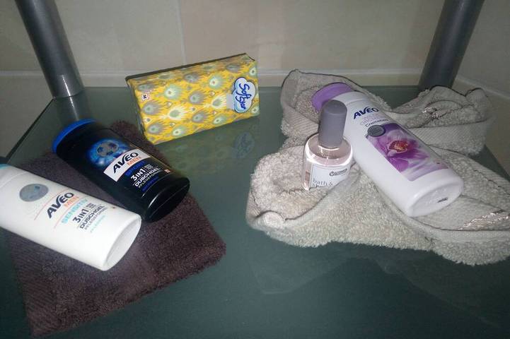 Ferienwohnung für 2 Personen, mit Garten und Terrasse in Ilmenau - 4