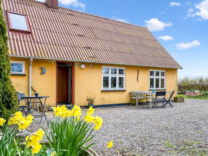 Feriehus for 8 personer, med terrasse i Møn