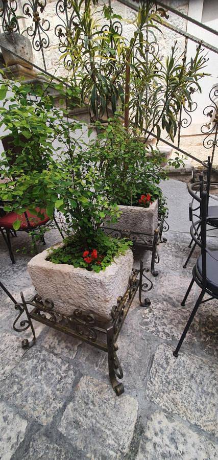 Chambre d’hôte pour 2 personnes, avec terrasse ainsi que jacuzzi et jardin à Trogir - 4