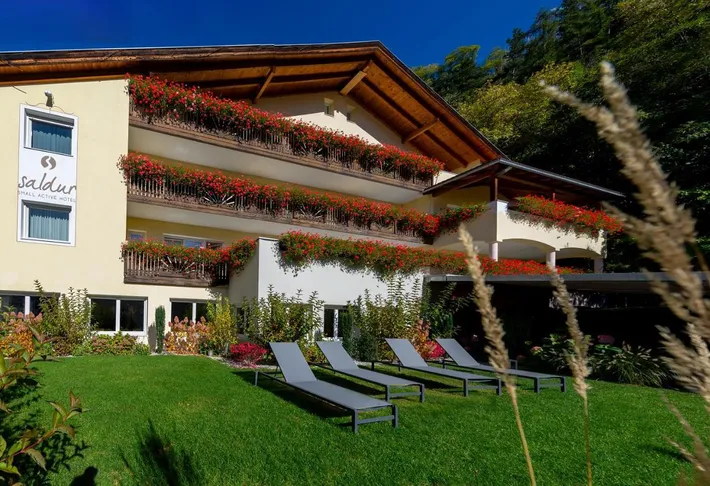 Hotel per 3 persone, con piscina e sauna nonché giardino e panorama, con animali domestici - 1