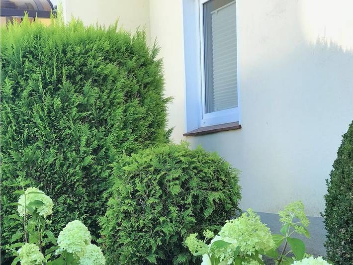 Ferienwohnung vor den Toren Hamburgs in Kreis Herzogtum Lauenburg