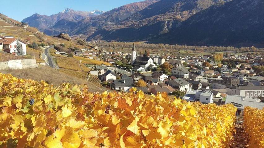 Maison d’hôte pour 4 personnes, avec jardin et vue à Saint-Léonard (Sion)