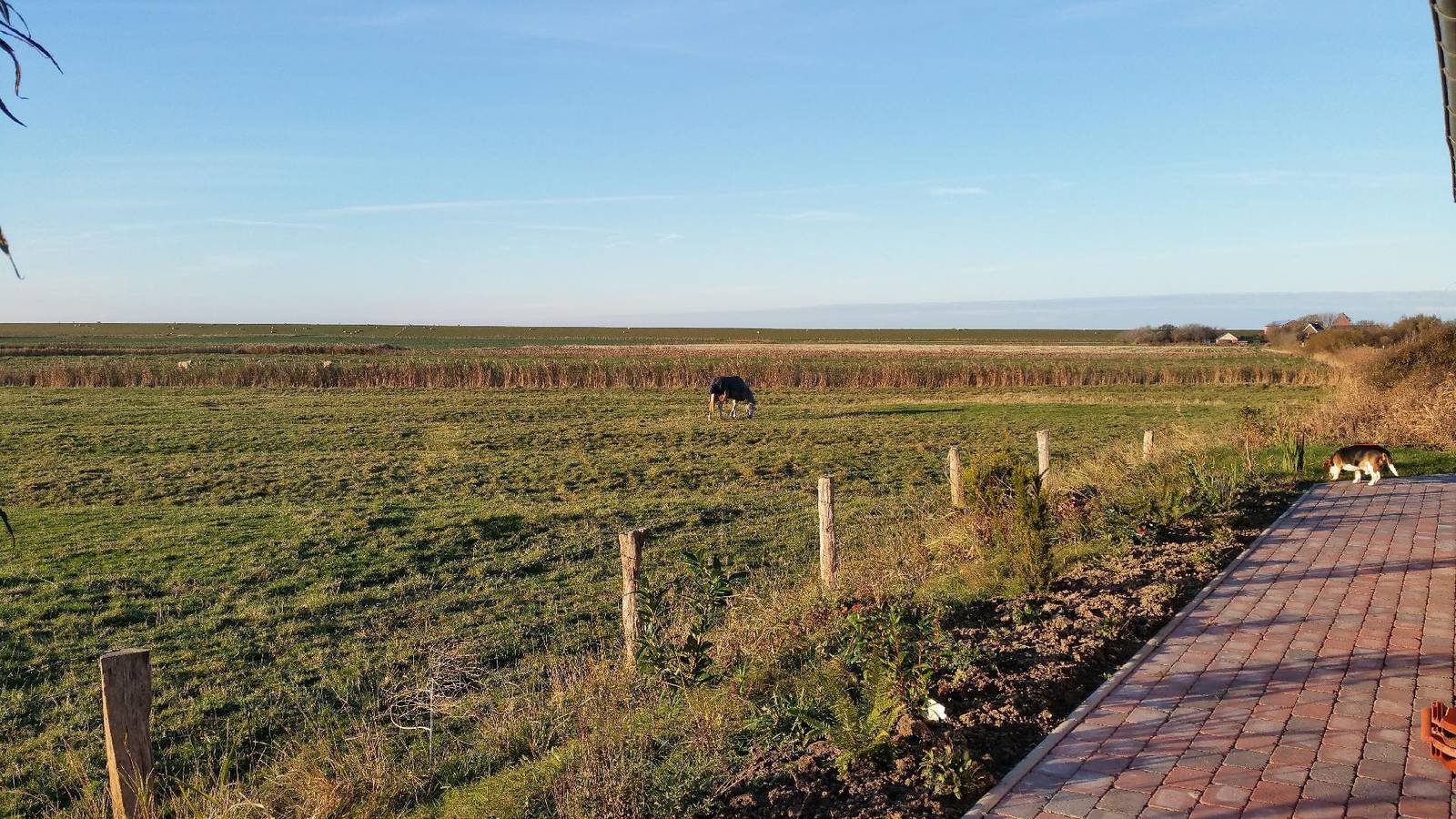 Ganze Ferienwohnung, Fewo "Mühlenblick" mit Terrasse nah am Meer in Pellworm, Nordfriesland