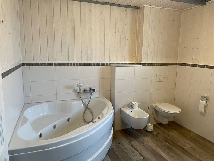 Schwan 312 - Modernes großzügiges Ferienhaus im skandinavischen Stil in Mirow, Mecklenburg-Strelitz