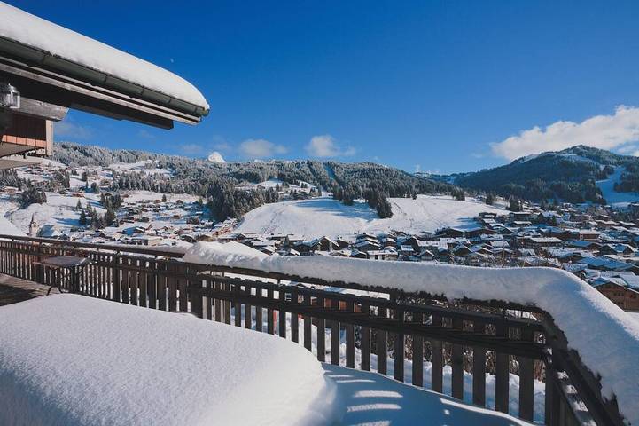 Holiday rental for 10 people, with garden and sauna, with pets in Les Gets