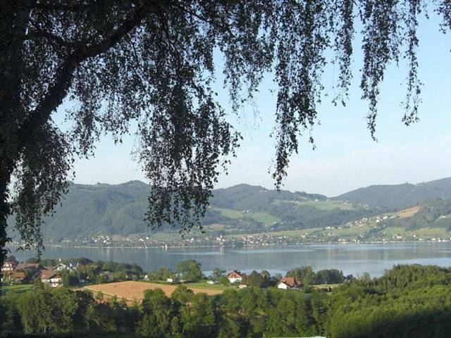 Single Room in Attersee am Attersee, Attergau