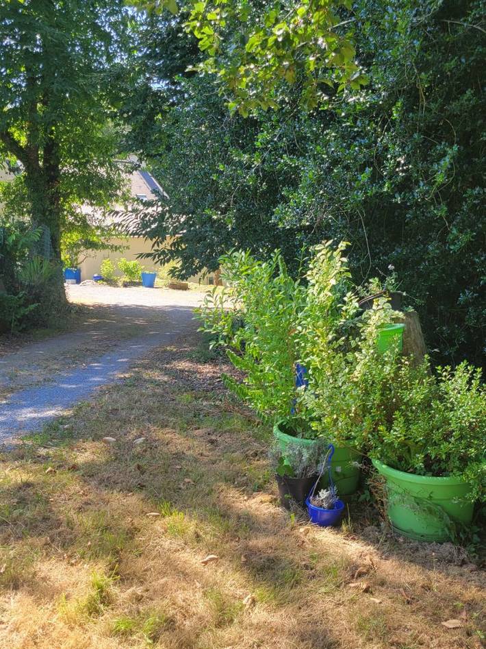 Gîte pour 4 personnes, avec sauna ainsi que jardin et terrasse, animaux acceptés à La Gacilly - 2