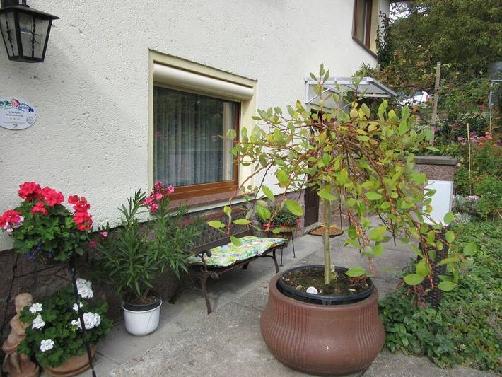 Ferienhaus für 4 Personen, mit Pool und Garten in Sächsisches Elbland - 4