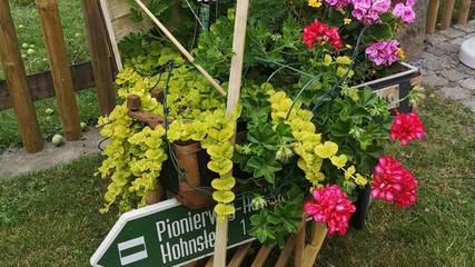 Ferienwohnung für 4 Personen in Hohnstein, Sächsische Schweiz, Bild 3