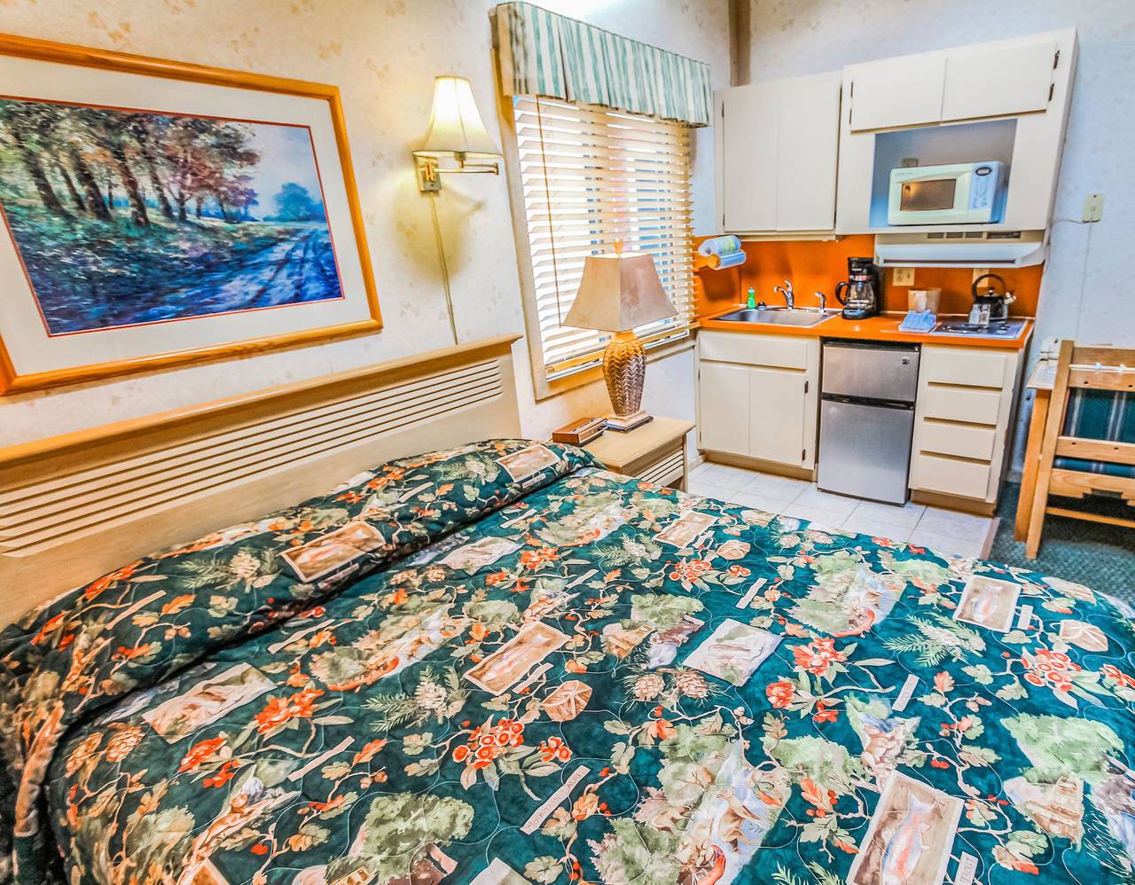 Ganzes Studio, Smoketree Lodge in Blue Ridge Parkway, Grandfather Mountain