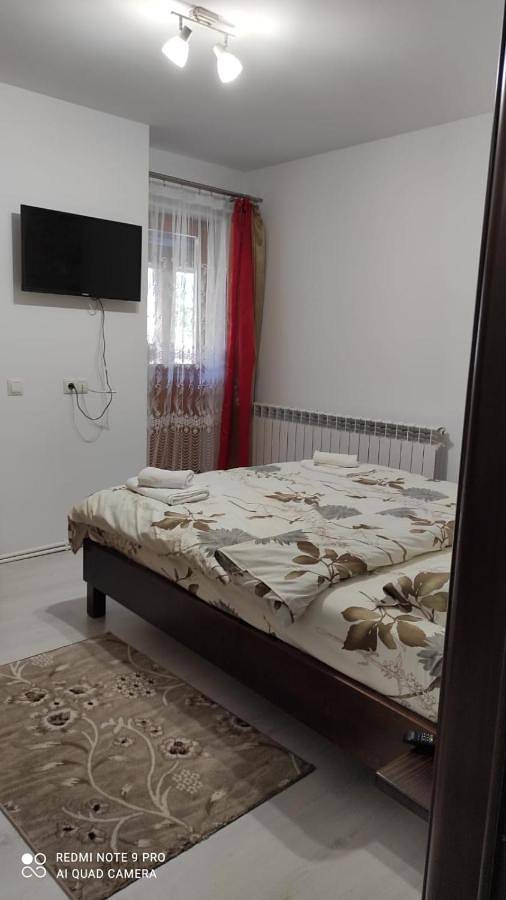 Maison d’hôte pour 2 personnes, avec vue et balcon dans Sucevița - 4