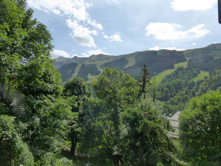 Gîte pour 4 personnes, avec Terrasse dans Méribel - 4