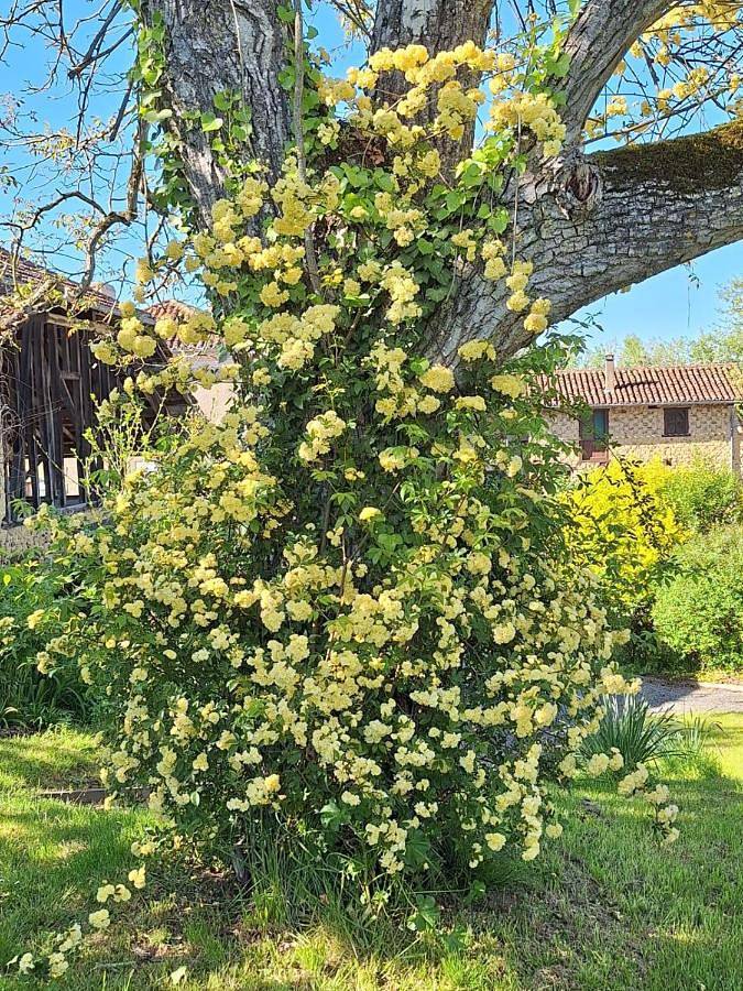 Gîte pour 2 personnes, avec vue et jardin à Saint-Michel (Gers) - 2