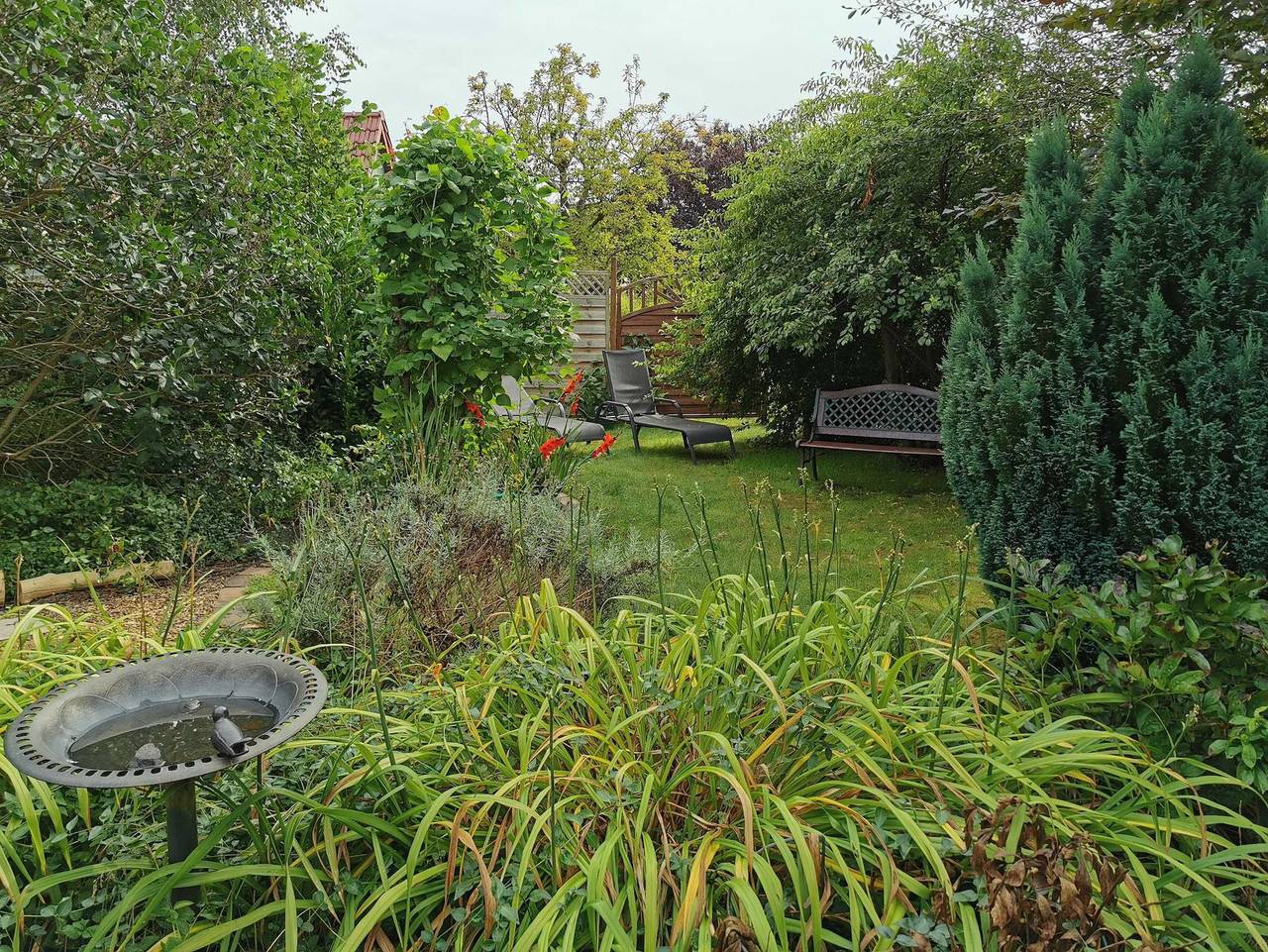 Ganze Ferienwohnung, Ferienhaus 1 Brodhagen - Ferienhaus 1 Brodhagen in Barth, Vorpommern-Rügen