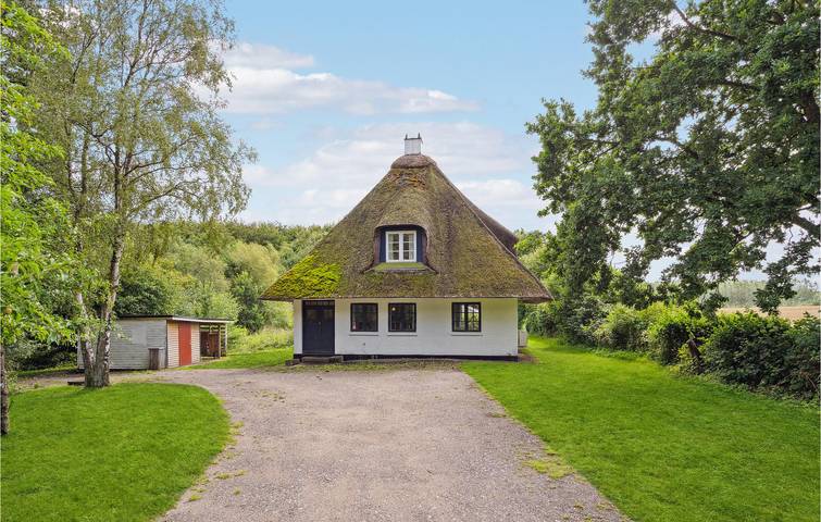 Ferieudlejning for 4 personer, med Terrasse i Fåborg