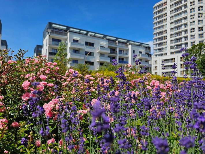 Ferienwohnung für 5 Personen, mit Balkon in Swinemünde - 4