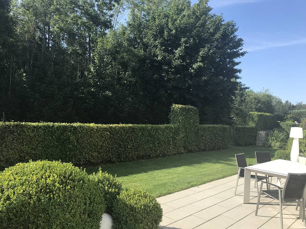 Ganze Wohnung, Ferienhaus am Waldrand in Riedenburg, Altmühltal