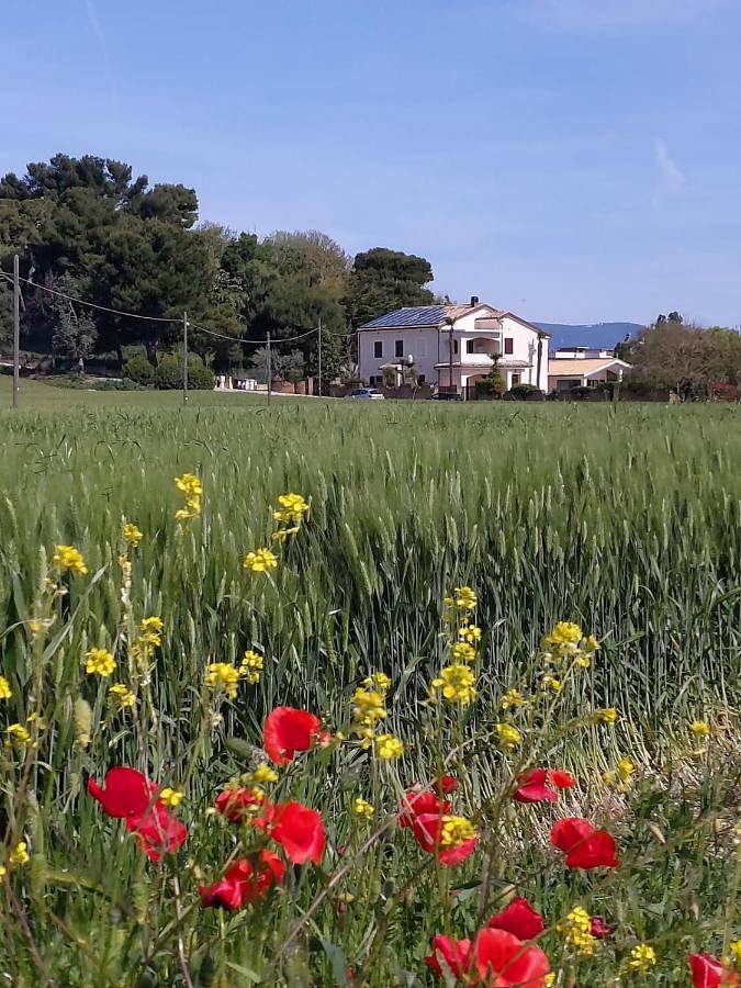B&B Isa in Loreto, Provincia di Ancona