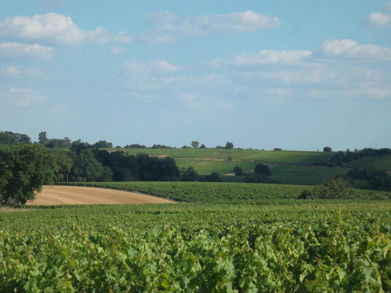 Double Room with Garden View in Bellevigne-en-Layon, Vallée de la Loire