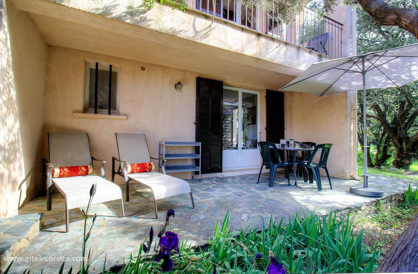 L'Olivo in Lumio, Calvi und Umgebung