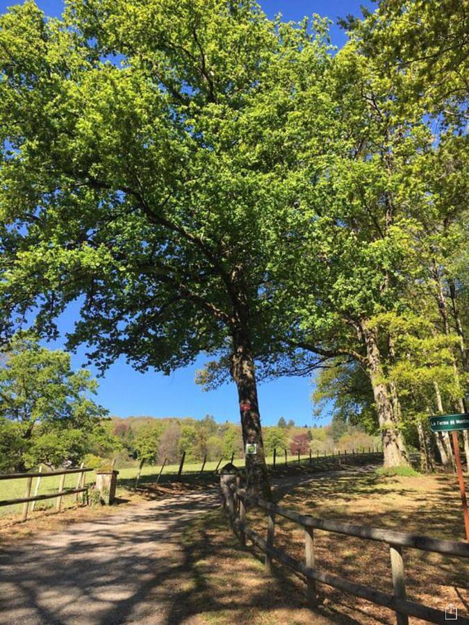 Location de vacances pour 7 personnes, avec jardin ainsi que piscine et vue, animaux acceptés à Ambazac - 3