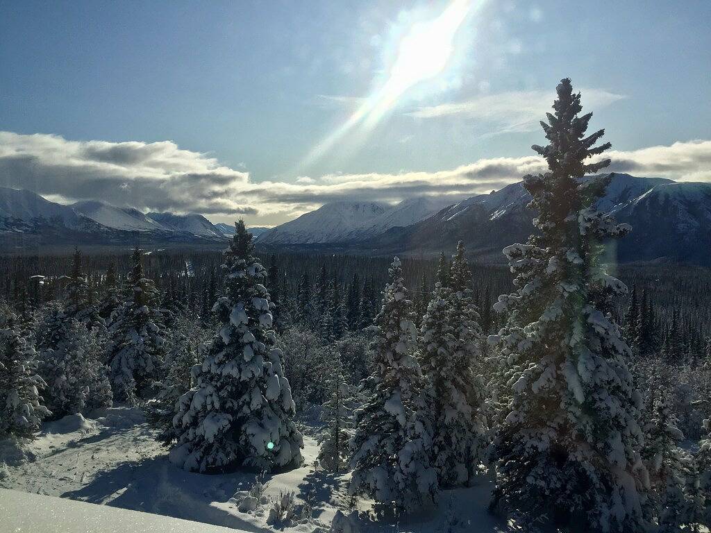 Blockhütte für 5 Personen in Denali, Alaska
