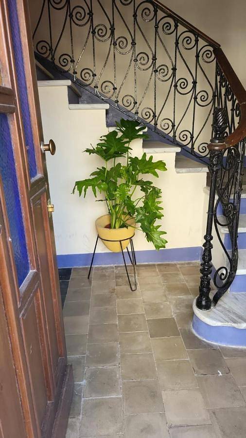 Maison d’hôte pour 4 personnes, avec terrasse à Alghero - 3