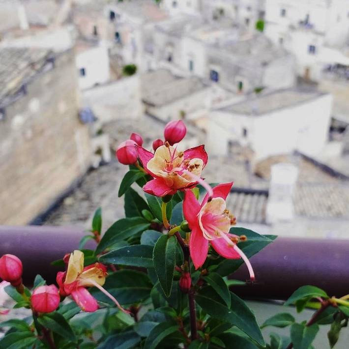 Gîte pour 4 personnes, avec terrasse et vue, animaux acceptés à Matera - 4