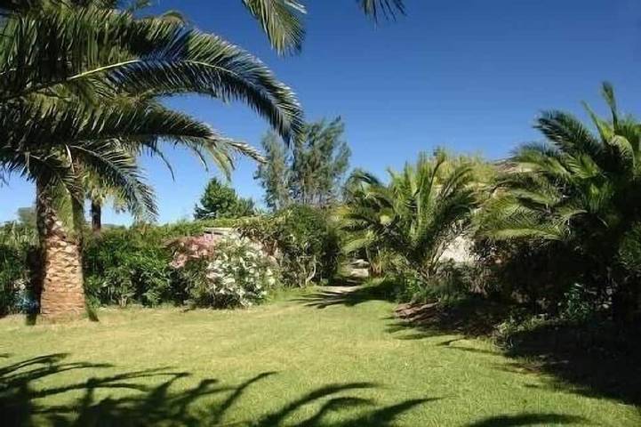 Location de vacances pour 6 personnes, avec piscine et jardin à Oletta - 4