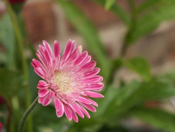 Cottage for 3 People in Whitby, North Yorkshire, Photo 2
