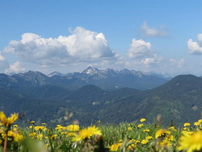 Ganze Ferienwohnung, Gästehaus Freihofer - Ferienwohnung Abendsonne in Bad Kohlgrub, Bayerische Alpen