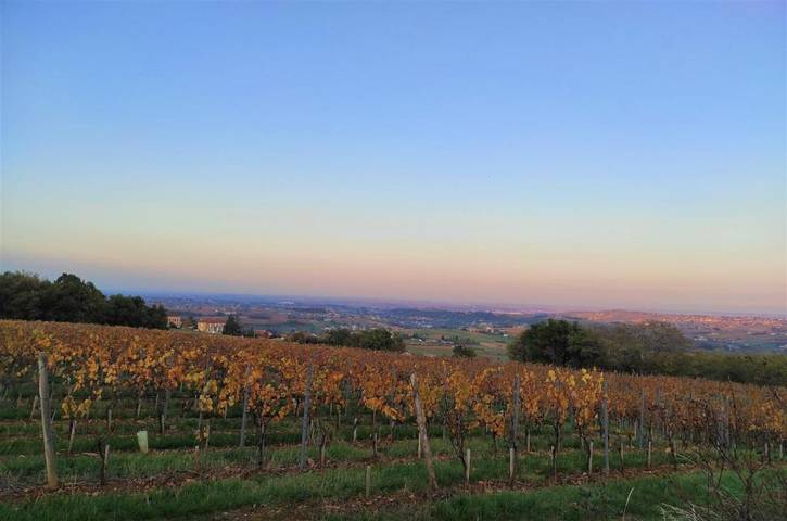 Location de vacances pour 2 personnes, avec Vue à Theizé