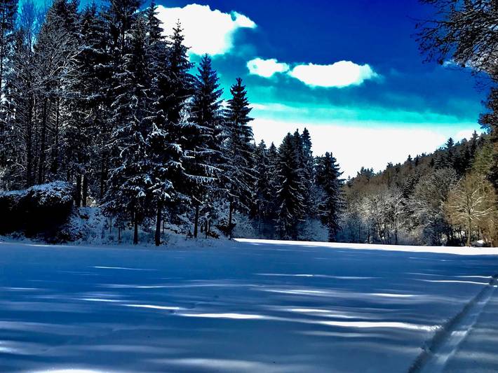 Ferienwohnung für 2 Personen, mit Terrasse und Garten, kinderfreundlich in Pottenstein - 4