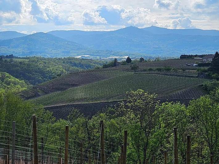 Gîte pour 6 personnes à Malleval - 3