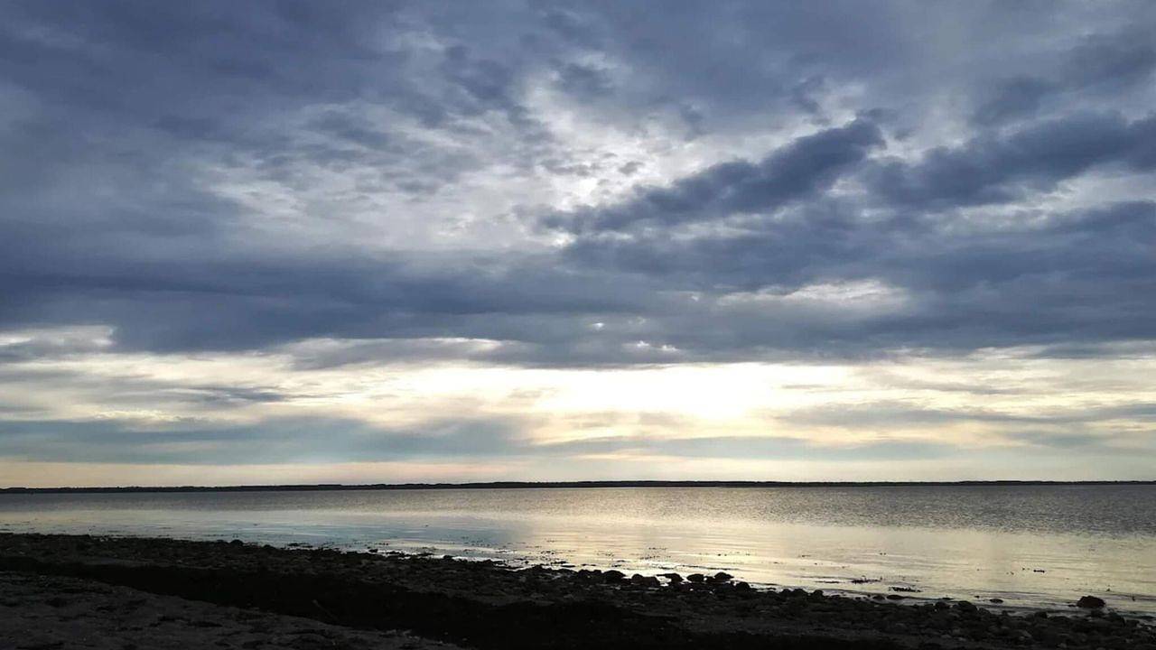 Ferienhaus für 5 Personen (55 m²) in Tranekær in Stoense, Tranekær