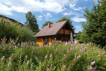 Chalet pour 4 Personnes dans Xonrupt-Longemer, Saint-Dié-des-Vosges, Photo 3